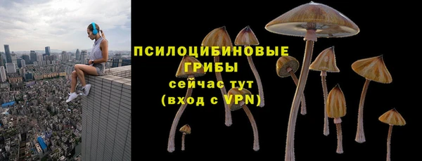 винт Наволоки