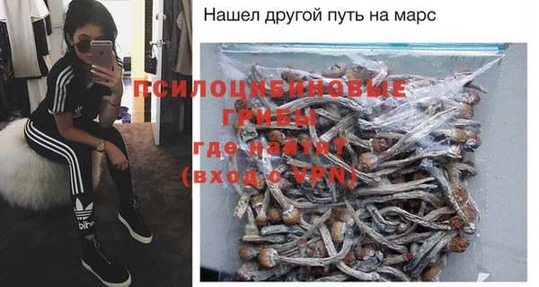 ешки Михайловск