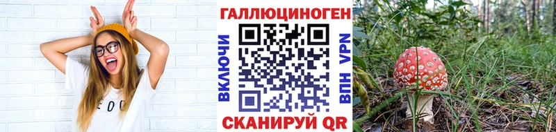 наркошоп Кондрово Псилоцибиновые грибы Psilocybine cubensis